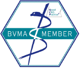 Logo BVMA Member